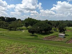 Forest Hills Condominium (D26), Condominium #580664431